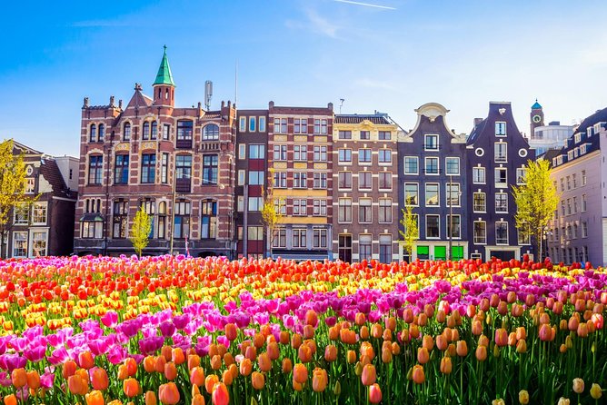 Amsterdam Day Trip from Brussels - The guides make the biggest difference