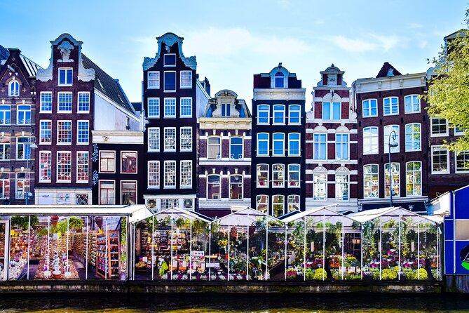 Amsterdam Day Trip from Brussels With Cheese, Clogs and Windmills - Group size, walking, and practical comfort