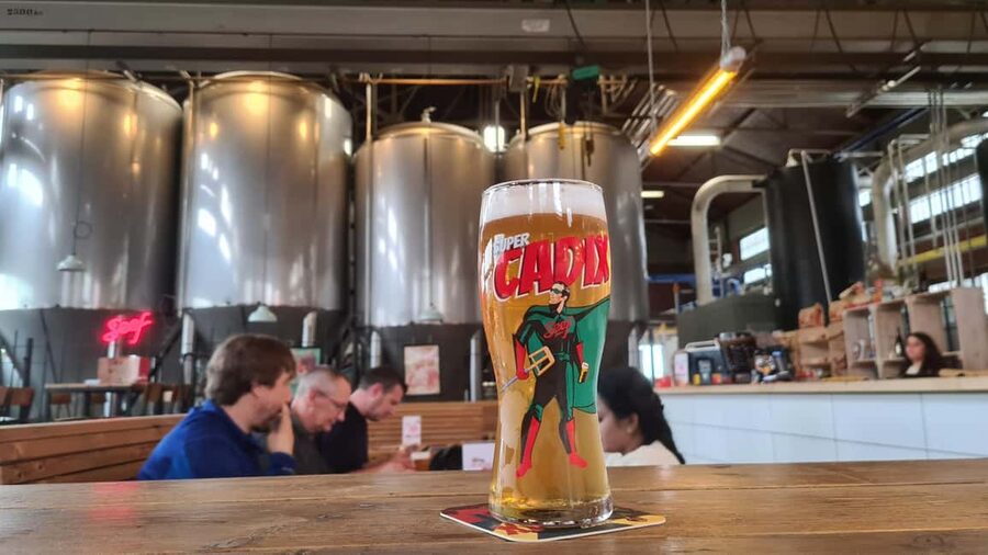 Antwerp: Pub Crawl in the Historical City - Timing, language, and practical planning