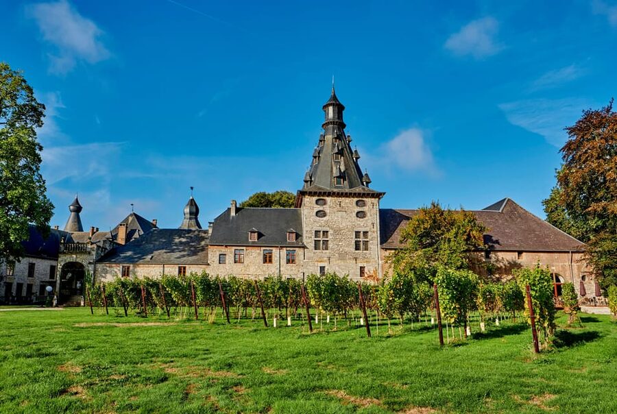 Bioul (near Dinant) : Château de Bioul Tour and Wine Tasting - Why Château de Bioul feels different from a basic wine tasting