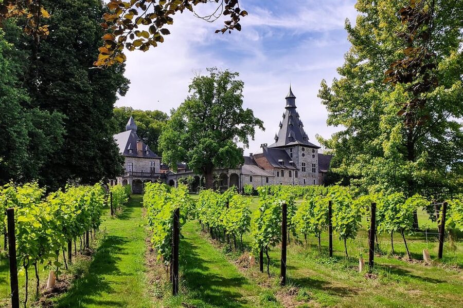 Bioul (near Dinant) : Château de Bioul Tour and Wine Tasting - Following the estate from grape to glass