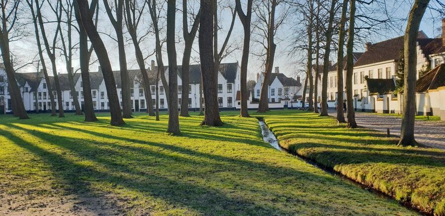 Bruges: 2.5-Hr Walking Tour from train station to Markt - Key points before you book