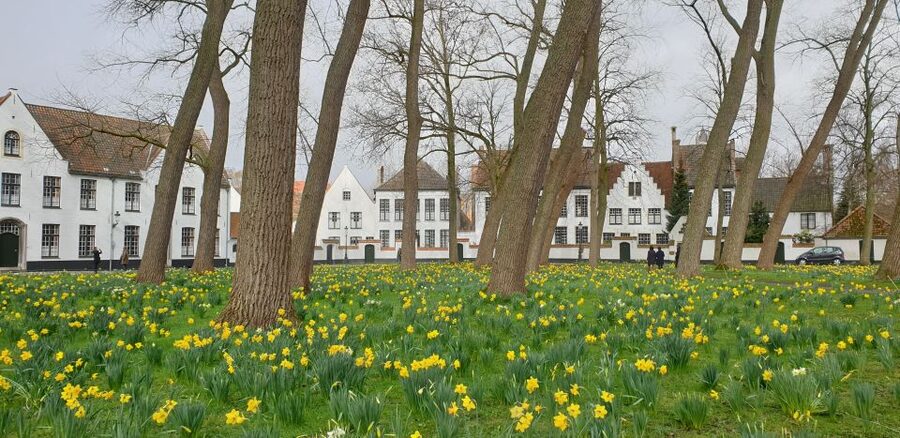 Bruges: 2.5-Hr Walking Tour from train station to Markt - Walplein, beer, and the old hospital quarter