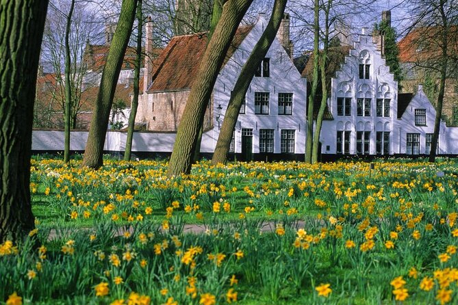 Bruges by bike with friends and family! - Key things to know before you book
