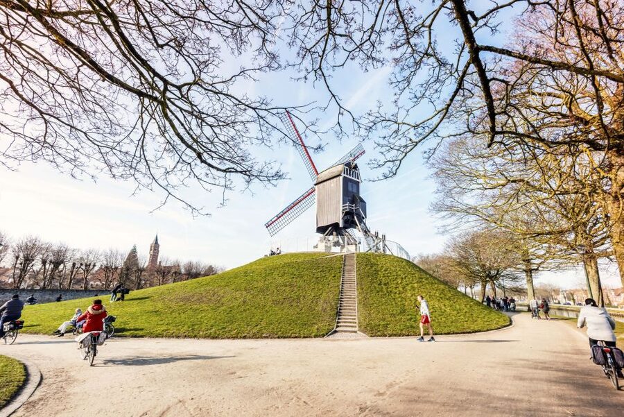 Bruges: Musea Brugge Card with Entry to 11 Museums - Groeninge Museum brings Flemish painting into focus