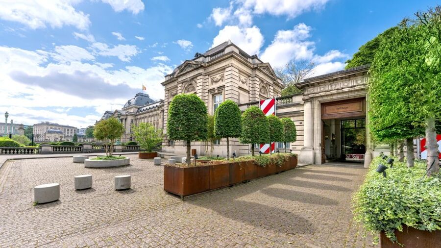 Brussels: BELvue Belgium History Museum Entry Ticket - Who will enjoy BELvue most?