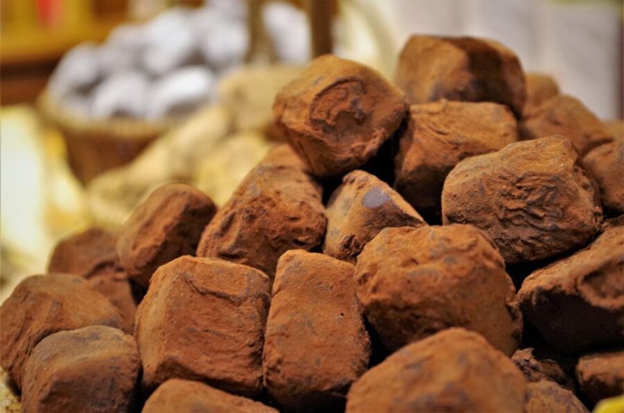 Brussels: Chocolate Workshop and Guided Walking Tour - Who should book this Brussels chocolate tour?
