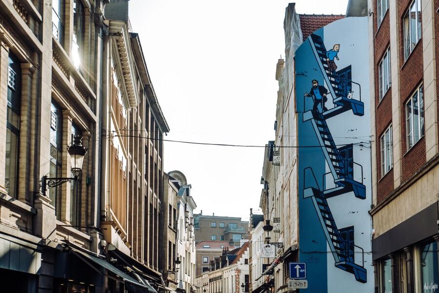 Brussels Comics & Street Art: Private Walking Tour - Little Nemo: crowded shelves and old toys