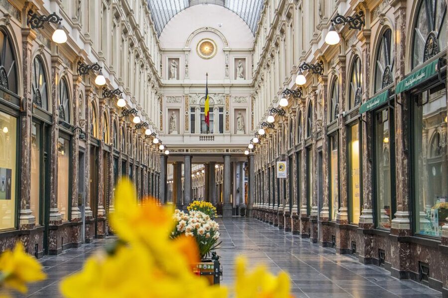 Brussels: Express Walk with a Local in 60 minutes - Key points to know before booking