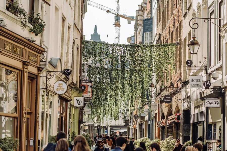 Brussels: Private Tour of the European Quarter - Walking, transport, and accessibility