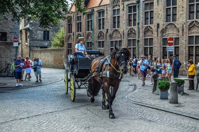 From Amsterdam: Private Sightseeing Tour to Bruges - Four hours among Bruges canals and bridges