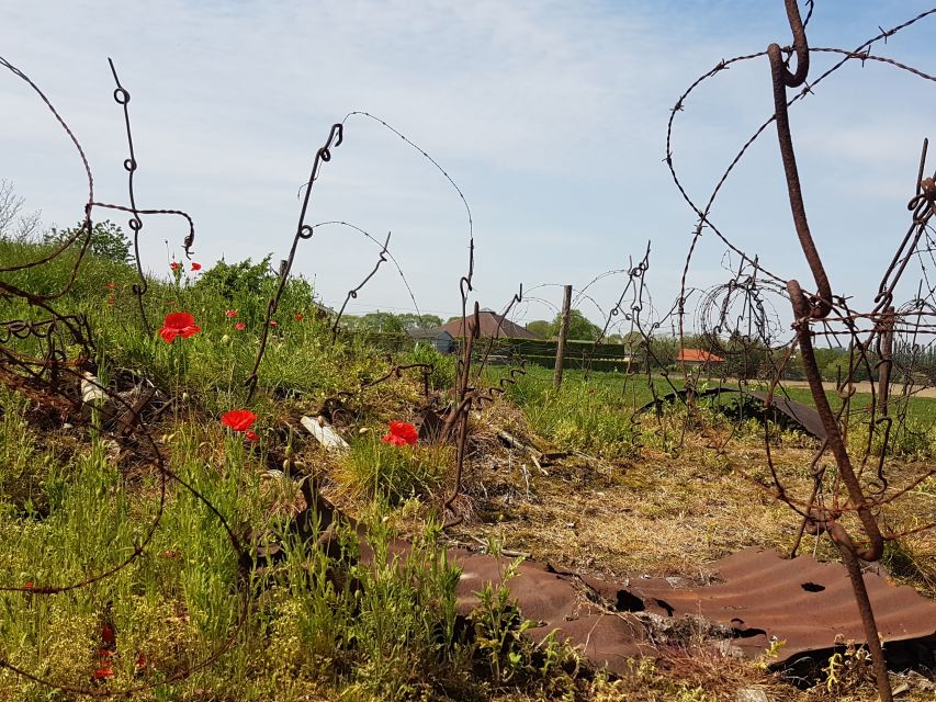 From Bruges: Great War Flanders Fields Minibus Tour w/ Lunch - Trenches, bunkers, craters, and preserved battlefields