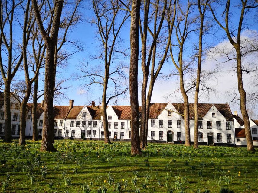 From Brussels: Bruges Day Trip with Boat Tour Option (ES) - The Spanish guide experience