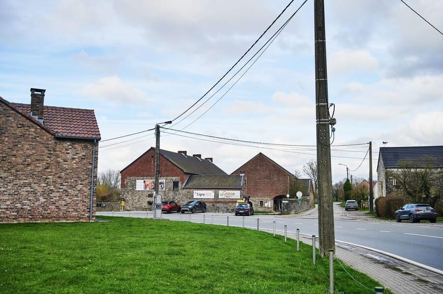 From Brussels : Napoleon's Last Campaign in Belgium Tour - Waterloo and the Lion’s Hill: about two hours at the main site