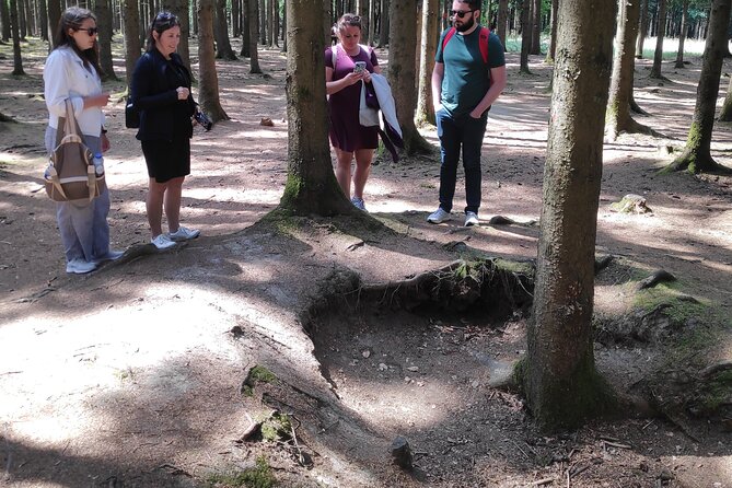 Historic Battle of the Bulge Sites Tour from Brussels - A Private Guide Who Adjusts the Day