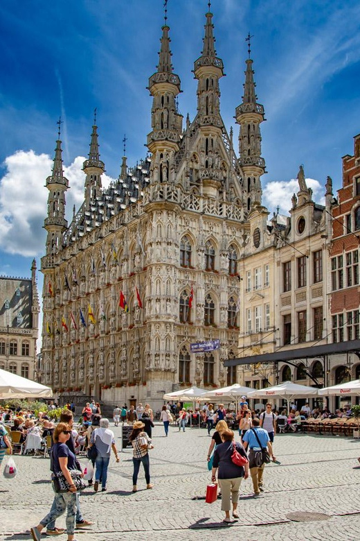 Historical Leuven: Private Walking Tour with a Local Guide - Language choices and the feel of the conversation