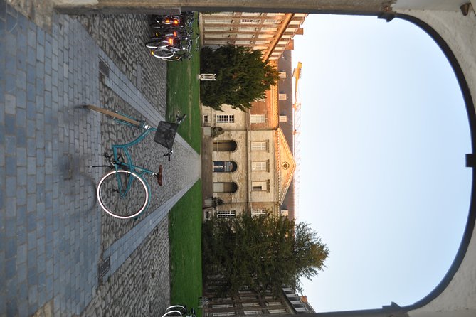 Lovely Leuven Highlights Biketour NEDERLANDS - Ladeuzeplein and the giant beetle