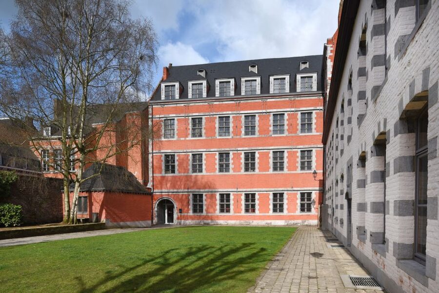 Mons : The Doudou Museum - Why the Doudou matters in Mons