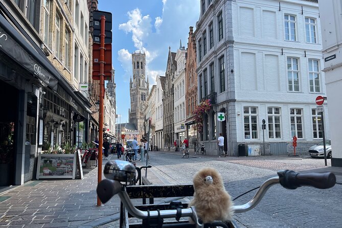 Private Full-Day Tour Bruges & Ghent from Brussels with tastings - Guides can make or break the day