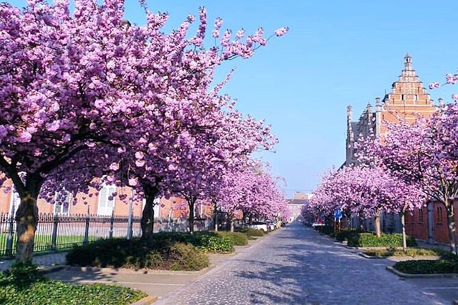 Private Hidden Gems Walking Tour in Ghent - Price, Private Format, and Overall Value