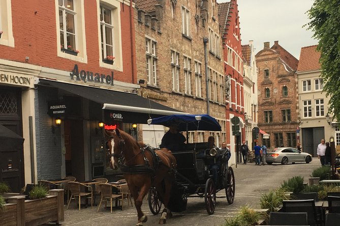 Round-Trip Shuttle Service from Zeebrugge to Bruges - Returning from Bruges to the ship