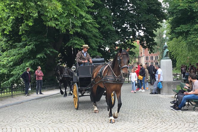 Round-Trip Shuttle Service from Zeebrugge to Bruges - The 20-minute ride into Bruges