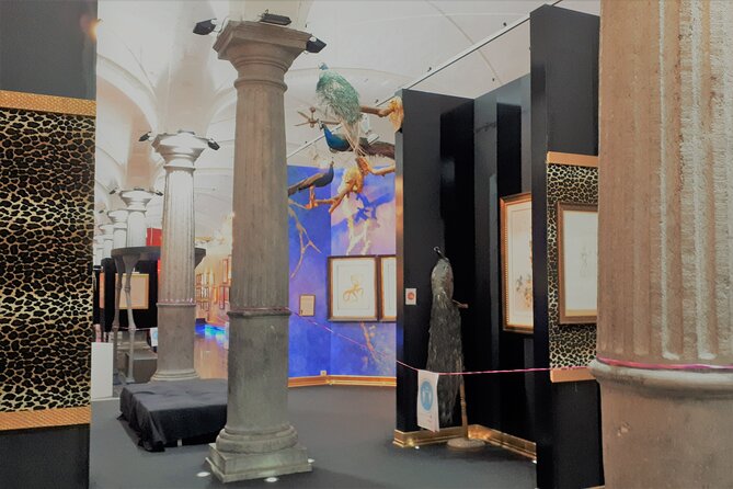 Salvador Dalí Exhibition in Bruges Admission Ticket - What you actually see inside