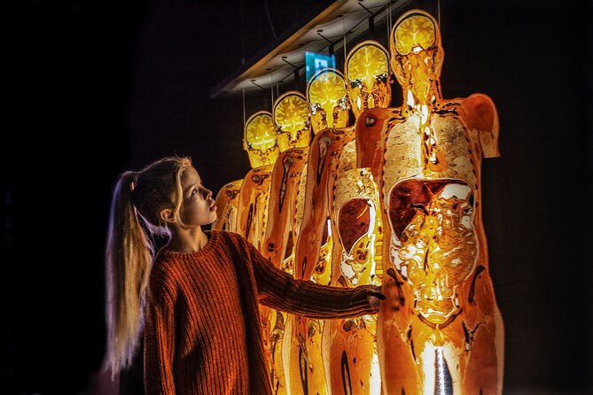 Ticket Expo Body Worlds in Bruges, Belgium - What you see in the main exhibition