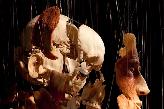 Ticket Expo Body Worlds in Bruges, Belgium - The body donation message