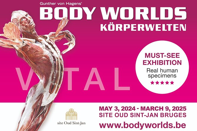Ticket Expo Body Worlds in Bruges, Belgium - Why the anatomical mirror is worth your time